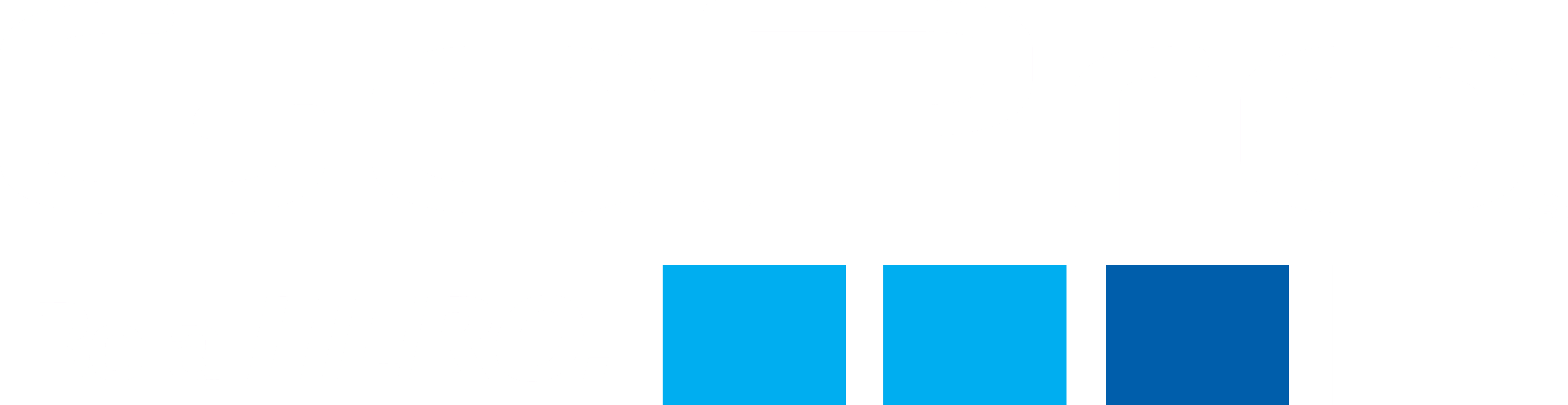 GoPro